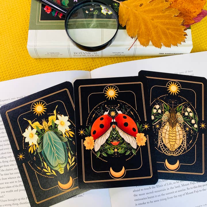 Split Moon Studios - Wholesale Art Print - A Set of Insect Art Prints - A6 Post Card Size - Artprint14