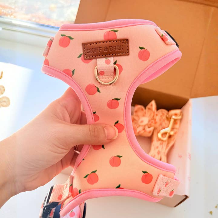 Peach Blush AllSet™ Harness – Adjustable Bliss (D Ring) for wholesale by Sniff & Bark