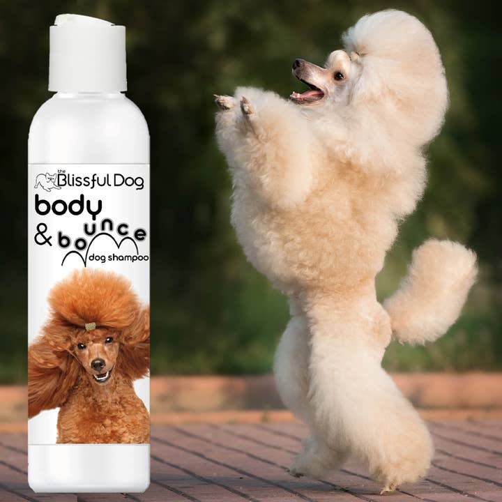 The Blissful Dog - Vente Shampoing – chien - Body & Bounce Shampooing pour chien Volume & Oomph3