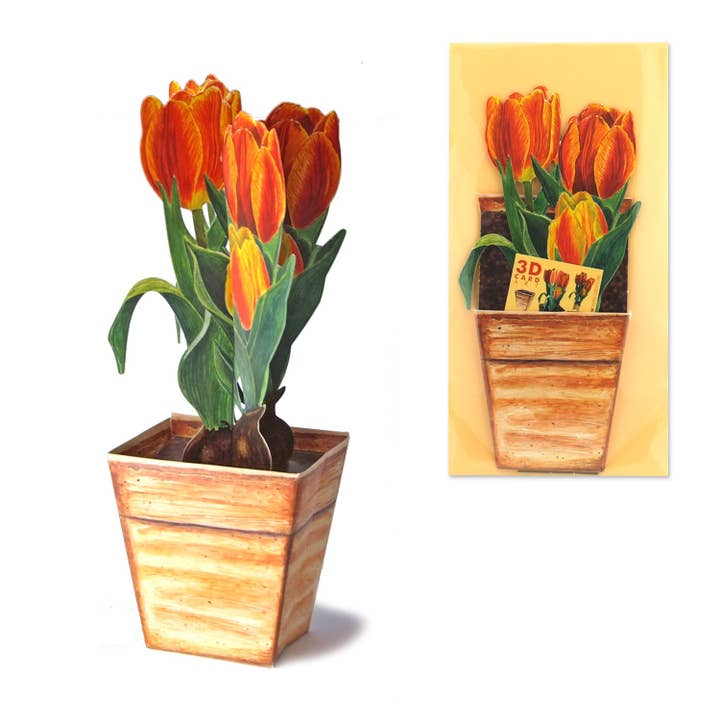3D-Grußkarte Tulpe für den Großhandel von Gollnow Paper Creations