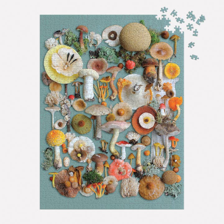 Chronicle Books - Wholesale Puzzle - Adult - Foraged 1000 Piece Puzzle