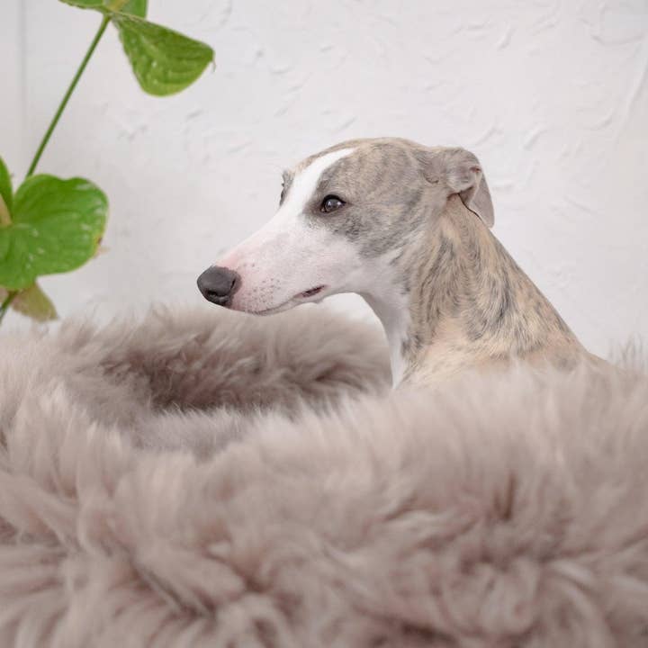 Mellow – Großhandel Haustierbett – Hund – Ovales Haustierbett aus natürlichem Lammfell, Greige