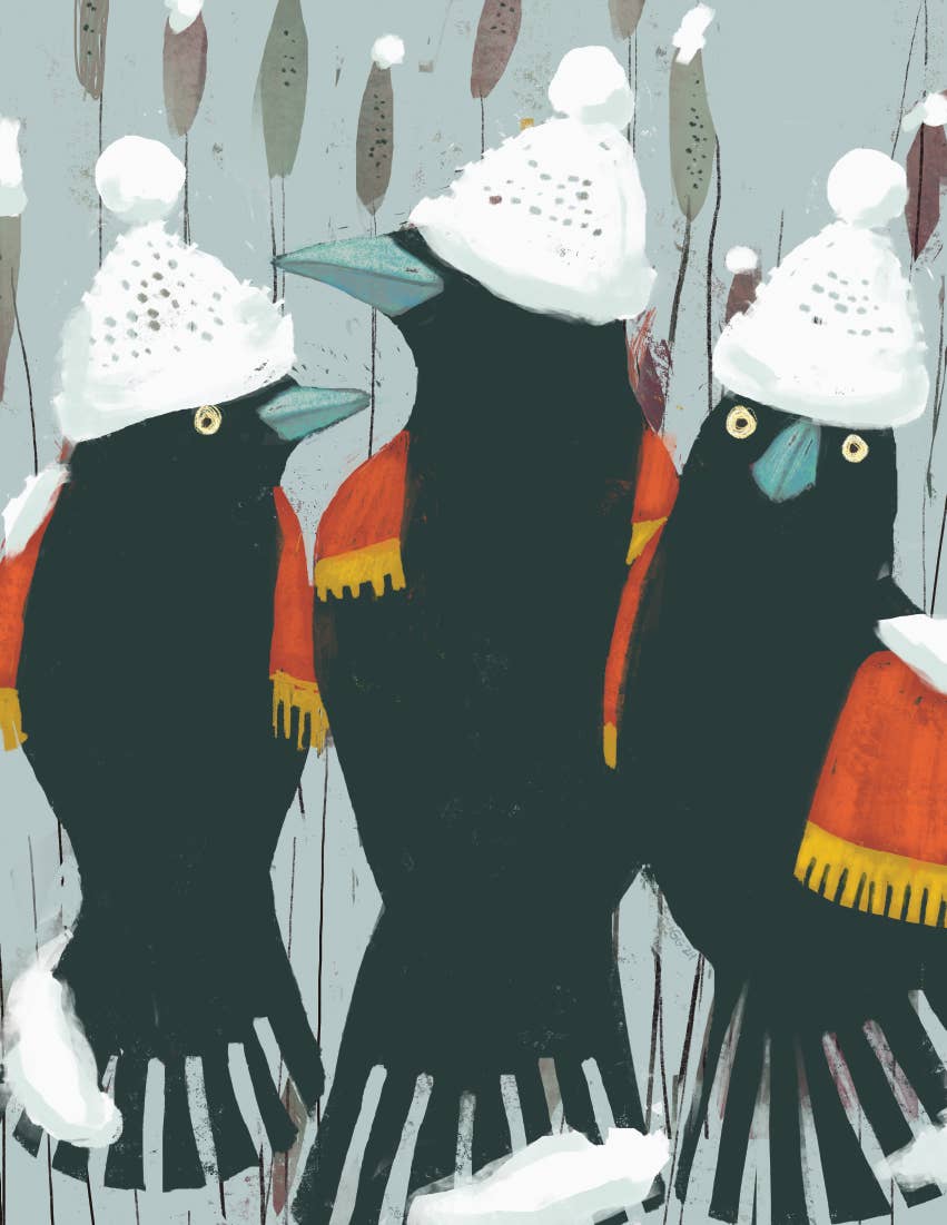 Ginger G. Art - Wholesale Everyday Greeting Card - Snow-Capped Red-Winged Blackbird Winter Bird A2 Card1