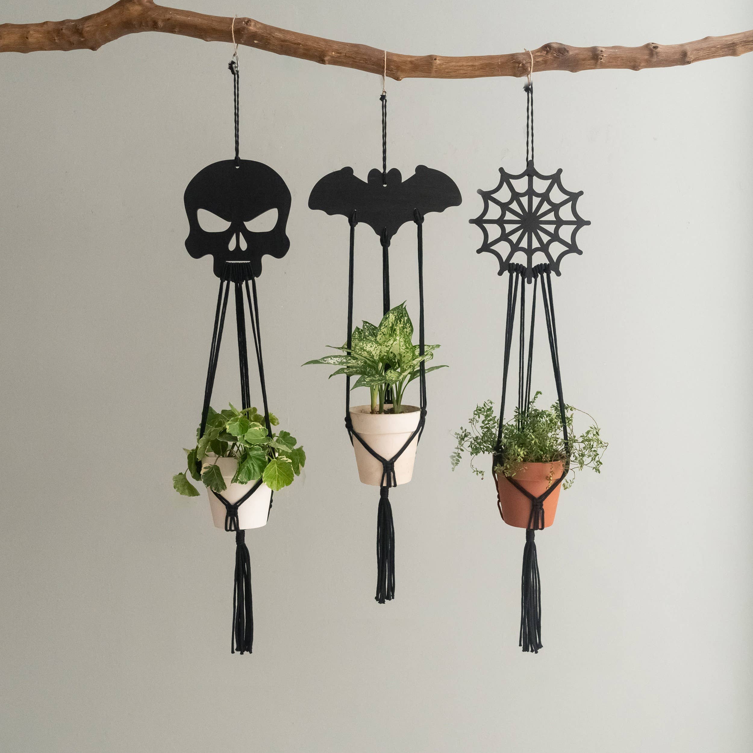 BeanDaikon – Engroshandel Hængende plantekasse – Gotisk Macramé Planteophæng Halloween Dekoration I986