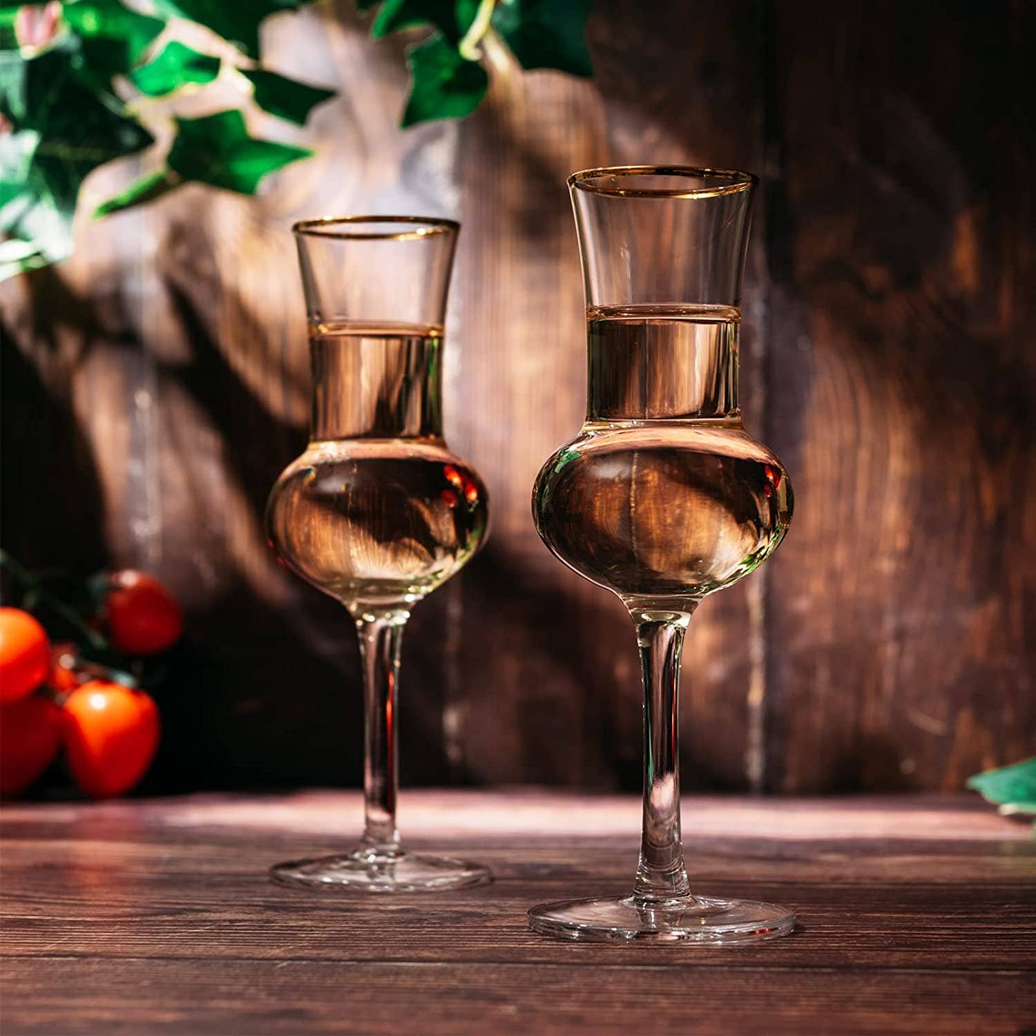 The Wine Savant /  Khen Glassware - Wholesale Cocktail/Liquor Glass - Crystal Grappa Glasses 3oz -Set of 6- In Gift Box5