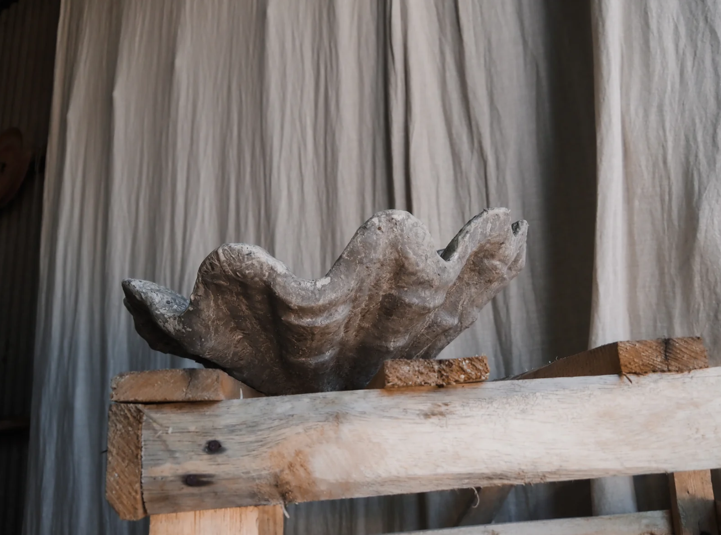 REMOVED BRAND - Wholesale Plant Pot - Vintage Terracotta shells 2