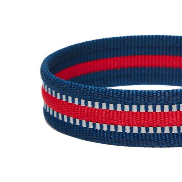 Blueberry Pet – wholesale Halsband - Hund – 3M Reflekterande Randig Hundhalsband – Hållbart & Stilfullt18