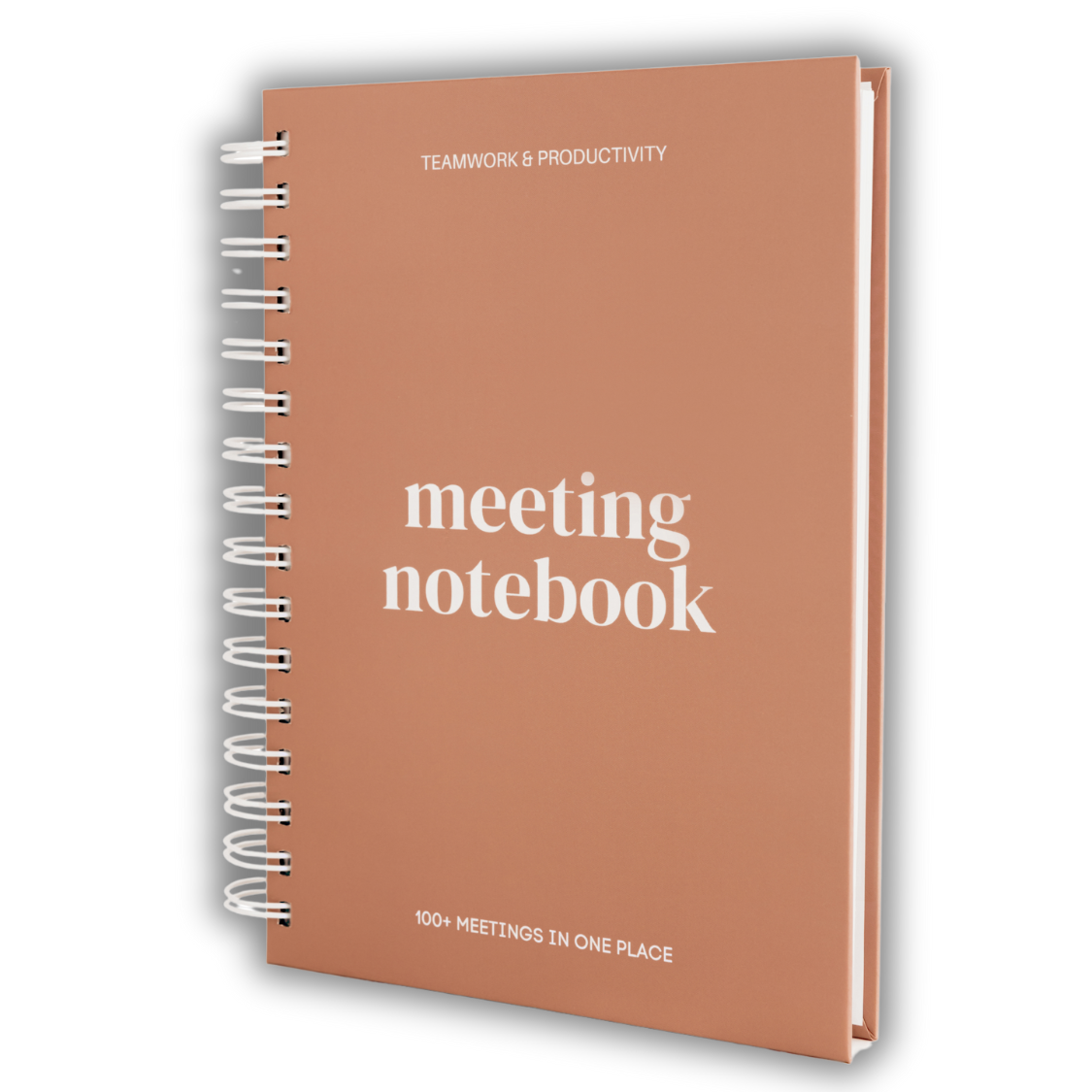 Lamare - Wholesale Notebook - Lamare Meeting Notebook – Project Planner & Work Organizer4