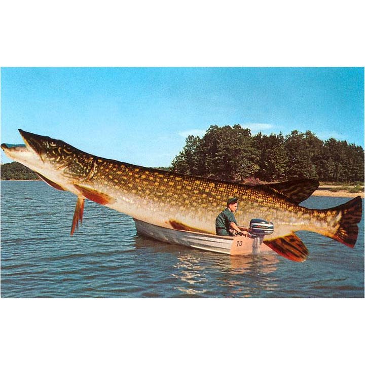 Found Image Press - Wholesale Magnet - Magnet FS-23 Giant Pike in Boat