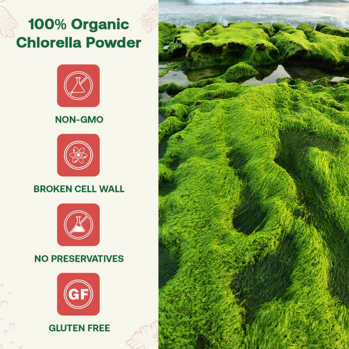 Quay Naturals - Wholesale Protein/Superfood Powder - Organic Chlorella Powder3