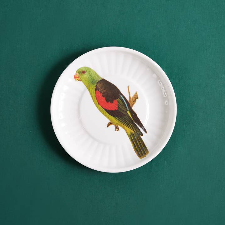 Siren Song - Wholesale Disposable Plate - Parrot Small Paper Plates Melamine Set of 41
