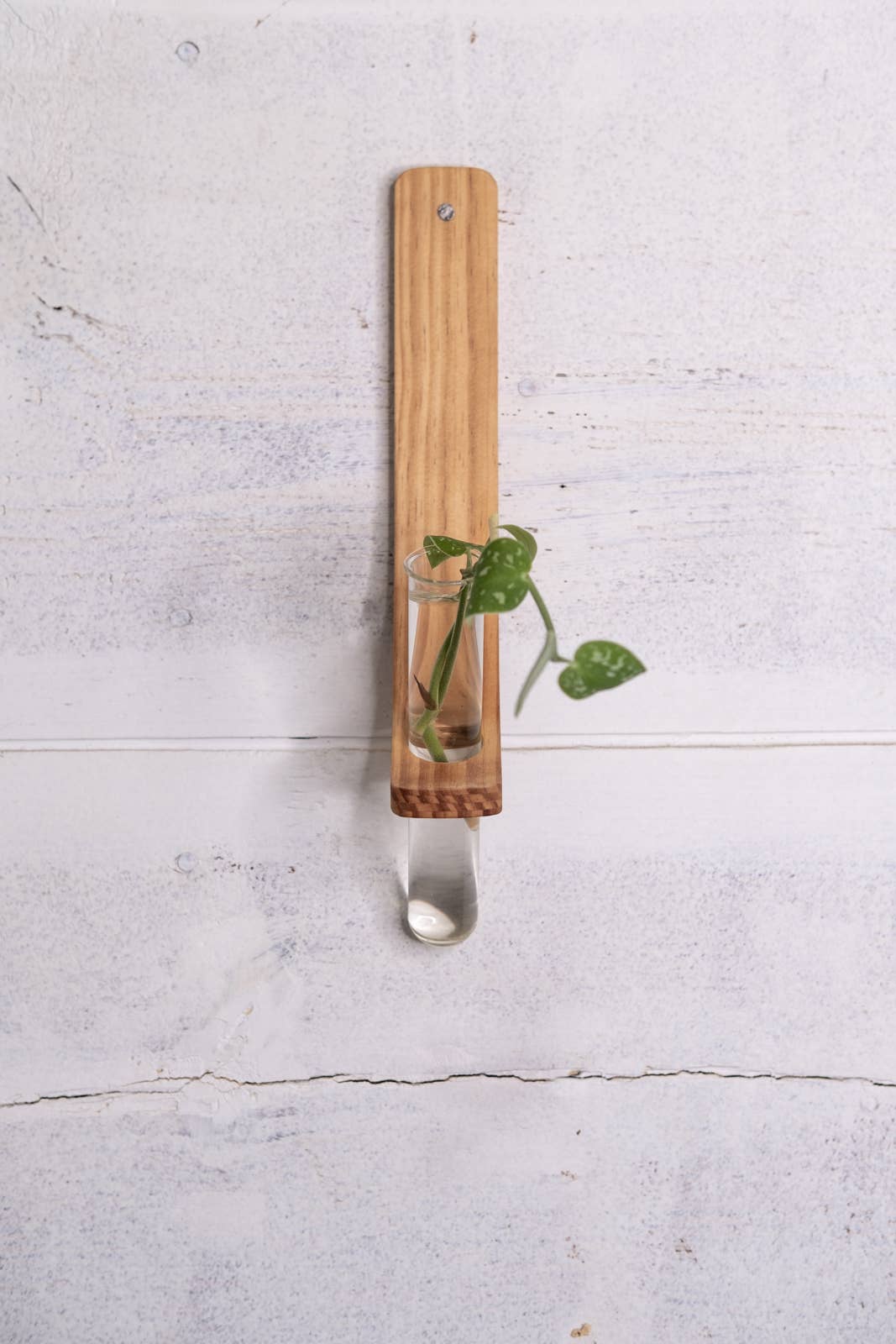Horsemen Co. - Wholesale Wall Planter - Single Propagation Station with Tube3