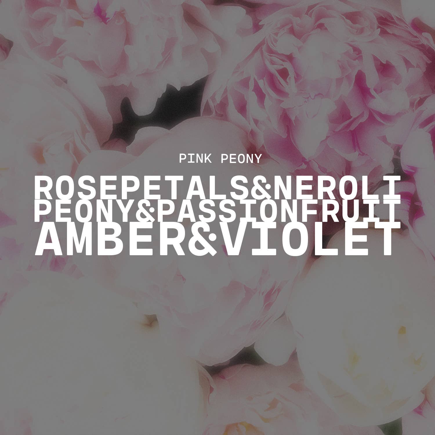 Milkhouse Candle Company - Wholesale Jar/Filled Candle - 13 oz Mason Jar Candle: Pink Peony2