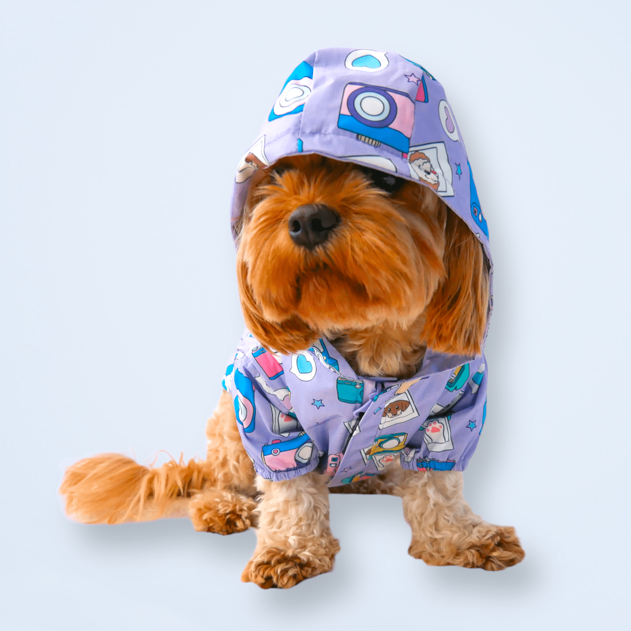 Zelda & Harley – wholesale Pet raincoat – Dog – Puparazzi Reversible Raincoat2