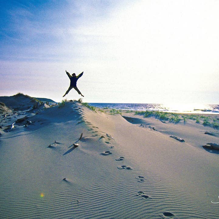 Spring voor vreugde voor wholesale door WildArt Photography Greeting Cards