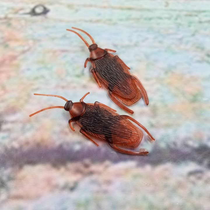 MIAS SHOP - Wholesale Prank/Gag Gift - Simulated Cockroach Insect Prank Toy2
