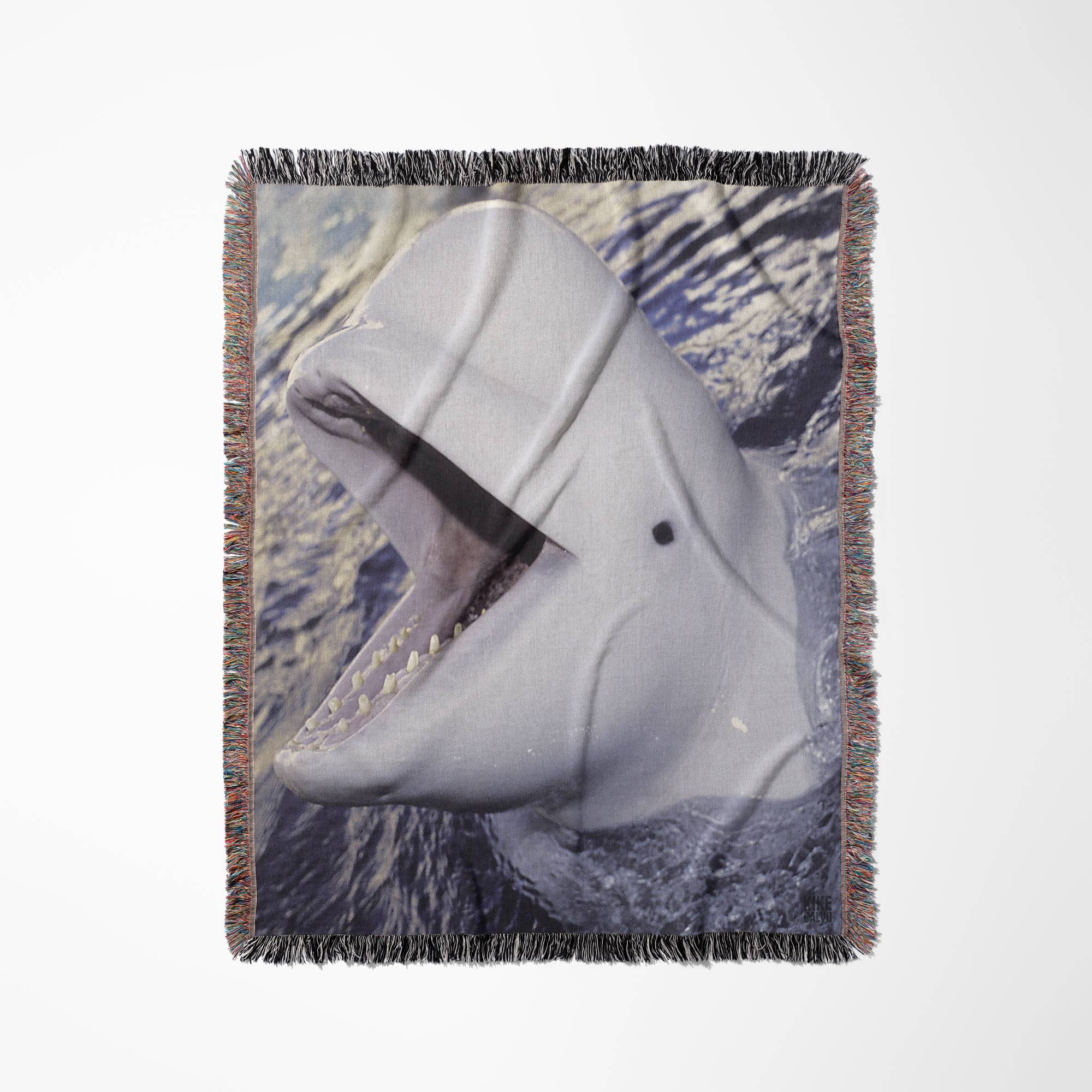 3dRose - Wholesale Throw Blanket - 3dRose, Beluga Whale, Delphinapterus leucas, Blanket0