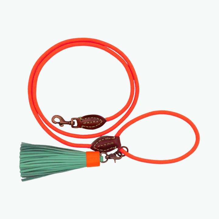 Laisse pour chien en corde Classic Carrot Cake S (155 cm x 1 cm) pour la vente par Dog with a Mission