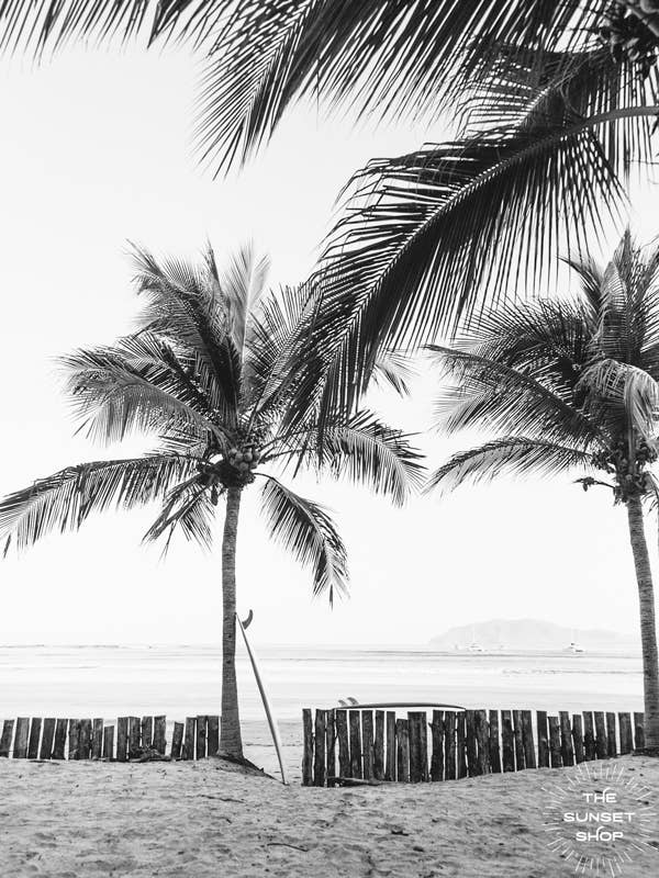 Magic Sticks for wholesale by The Sunset Shop