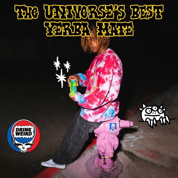 Weird Beverages - Wholesale Sports/Energy Drink - Organic Mystical Mint Yerba Mate 12pk of 16oz Cans7