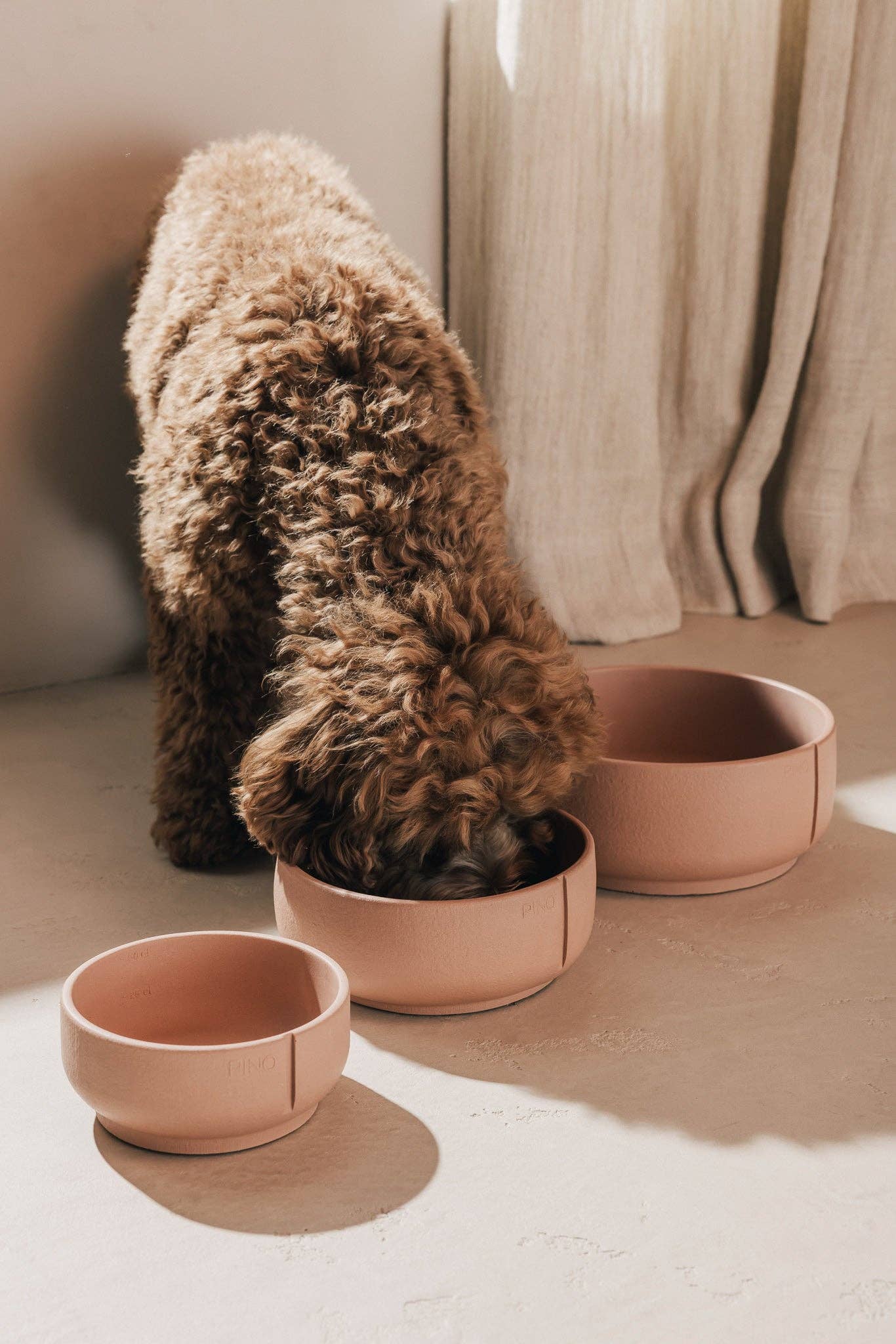 PINO – Engroshandel Kæledyrsskål – Hund – Klassisk skål1