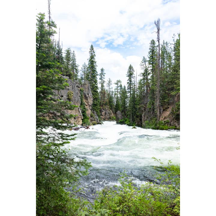 Photography Print "Benham Falls II" • PNW, Bend, Waterfalls for wholesale by Andrea Morris Art