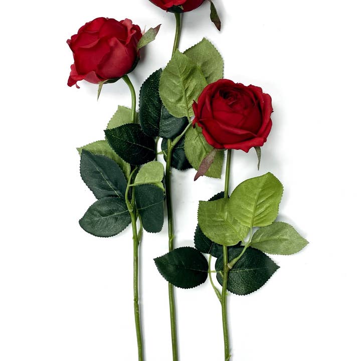 Angel Isabella - Wholesale Artificial flowers - 17"-Ultra Realist Real touch Cabbage Rose-Artificial 4