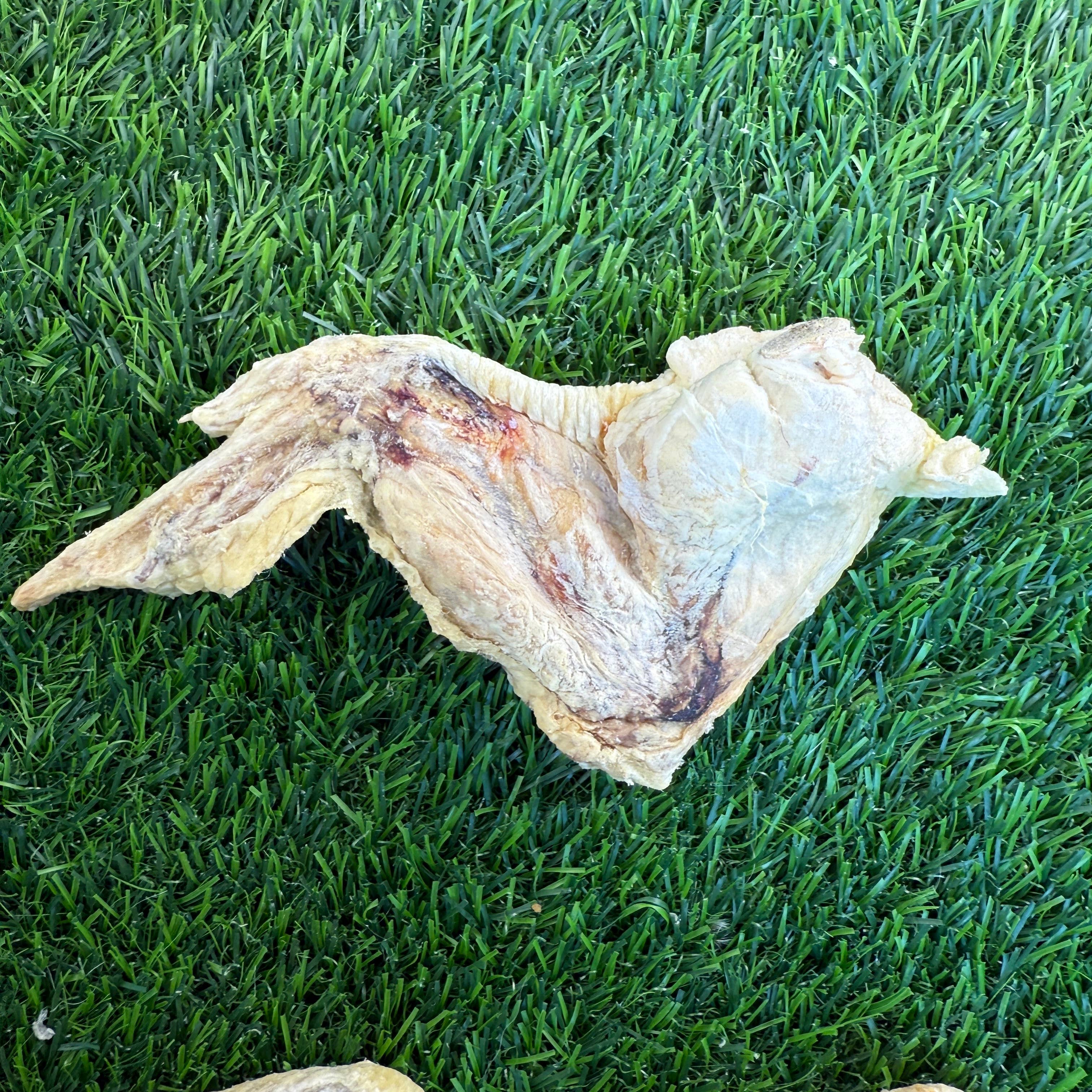 Golden Nibbles - Wholesale Pet Treats - Dog - Chicken Wing - Freeze-Dried Treat/Chew for Dogs4