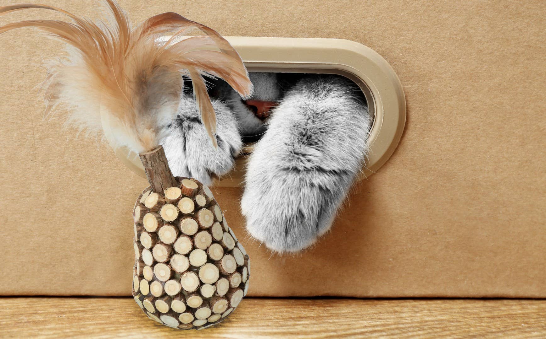 Hofman Animal Care - Vendita all'ingrosso Giocattolo - Gatti - Gioco per gatti Verslaafd con bruco e piume2