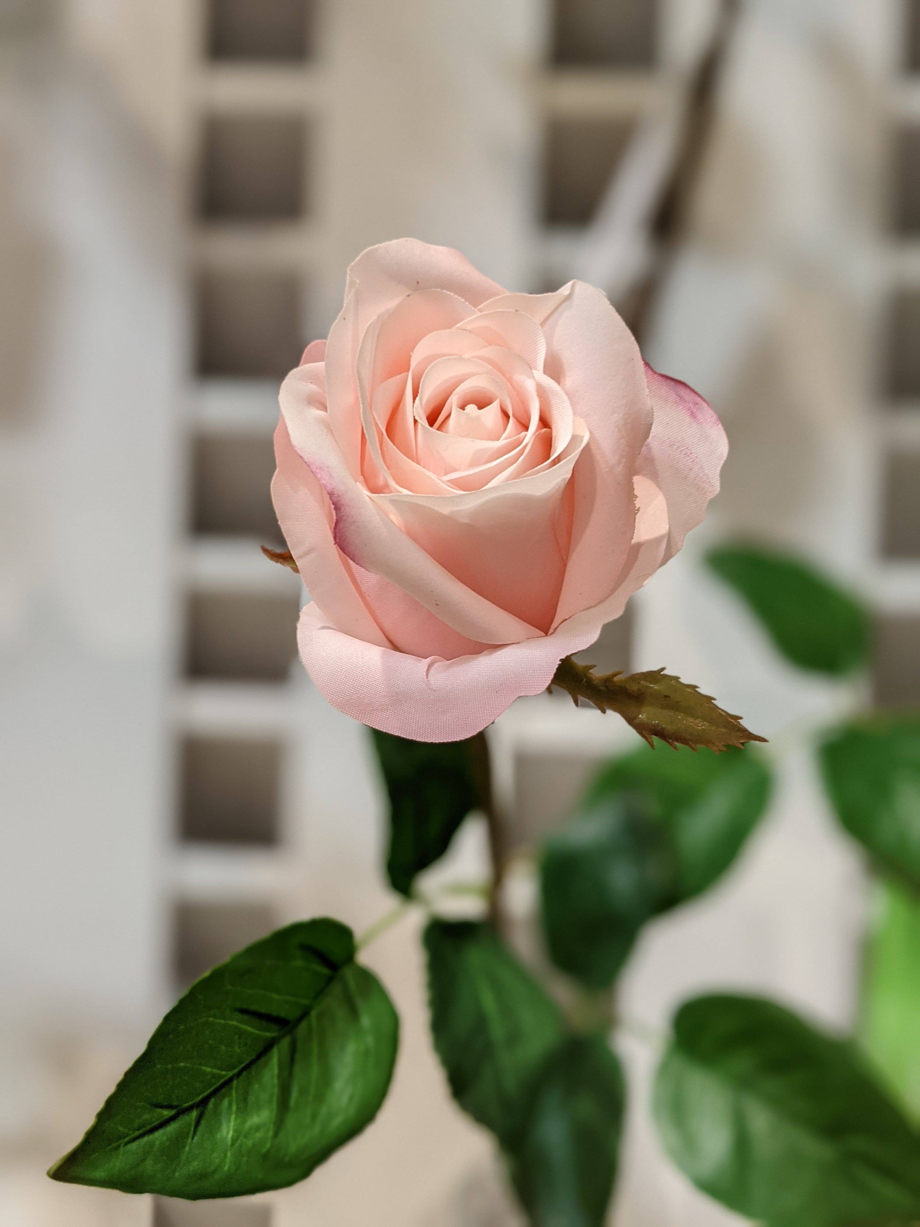 Green Import Limited – Großhandel Künstliche Blumen – FN20023 ROSENKNOSPENSPRAY (NAT), 23"9