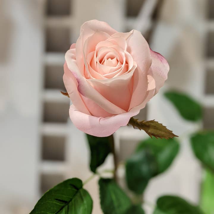 Green Import Limited – Großhandel Künstliche Blumen – FN20023 ROSENKNOSPENSPRAY (NAT), 23"9