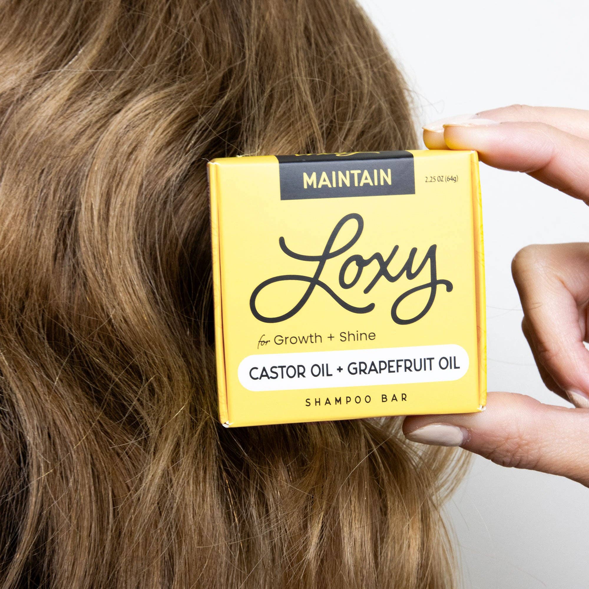 Loxy - Wholesale Shampoo Puck/Solid Shampoo - MAINTAIN: Shampoo Bar for growth & shine6