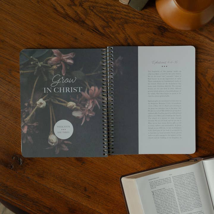 The Daily Grace Co - Wholesale Religion - Chosen | Ephesians Study1