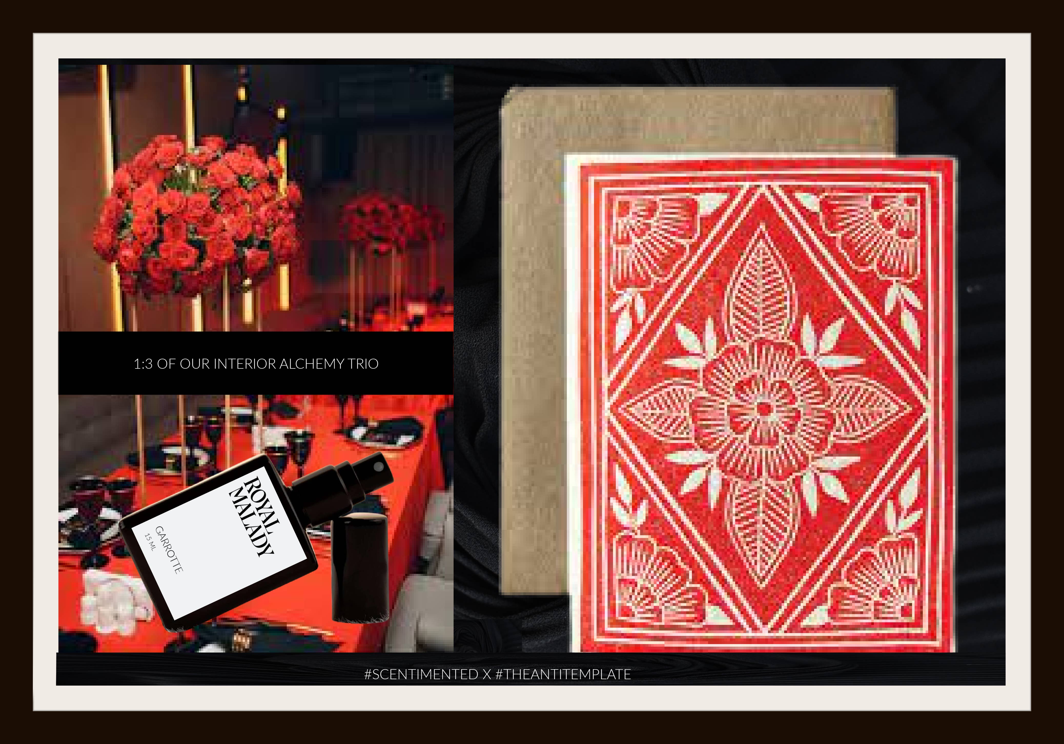 Royal Malady Assemble: Garrotte for wholesale by Royal Malady