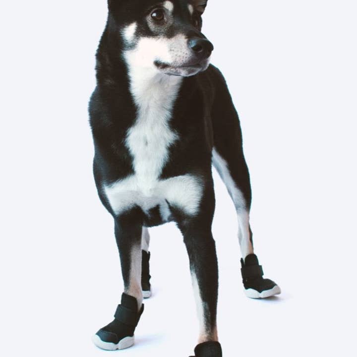 RIFRUF - Wholesale Pet Boots - Dog - Caesar 1 Durable Dog Sneaker with Knitted Mesh14