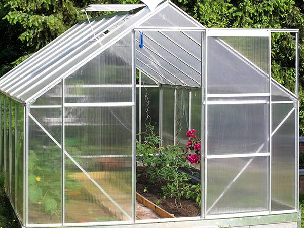 KastLite – wholesale Garden tool – KastLite 8MM Clear Twin Wall Polycarbonate Greenhouse Panels10