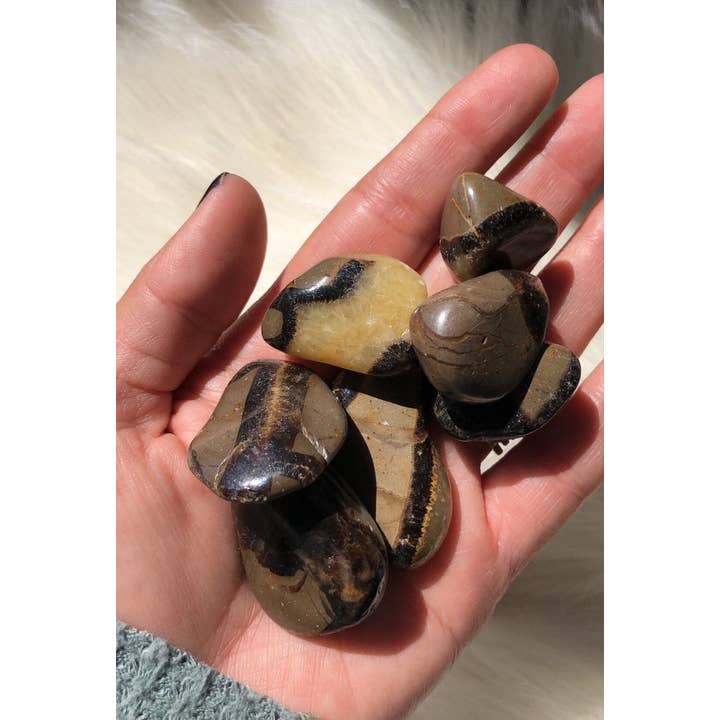 Panache – wholesale Spiritual stone/crystal – Septarian Tumbled Stone, Dragon Stone Tumble1