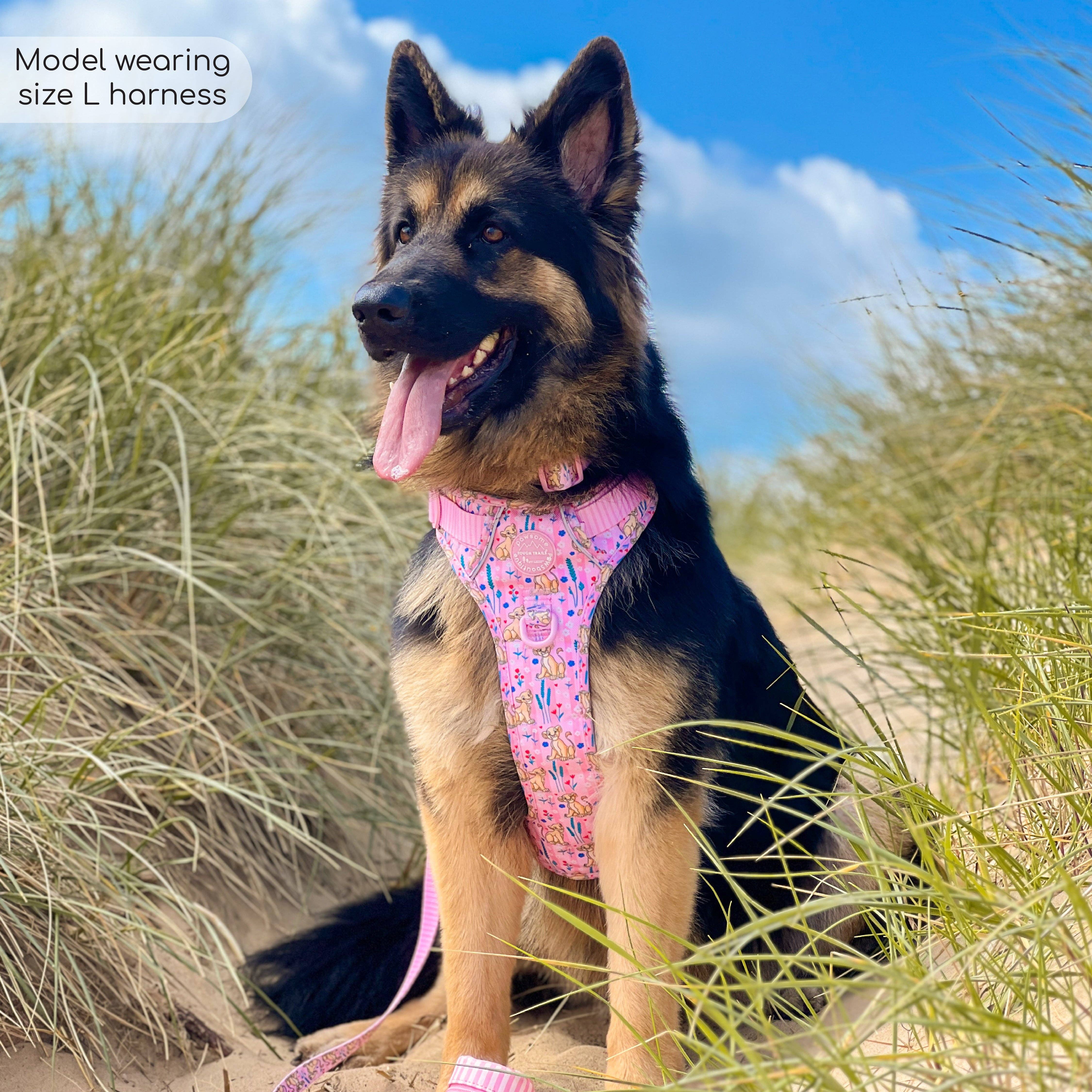 Pawsome Paws - Vendita all'ingrosso Pettorina - Cani - Imbracatura Disney© Tough Trails™ - Nala17