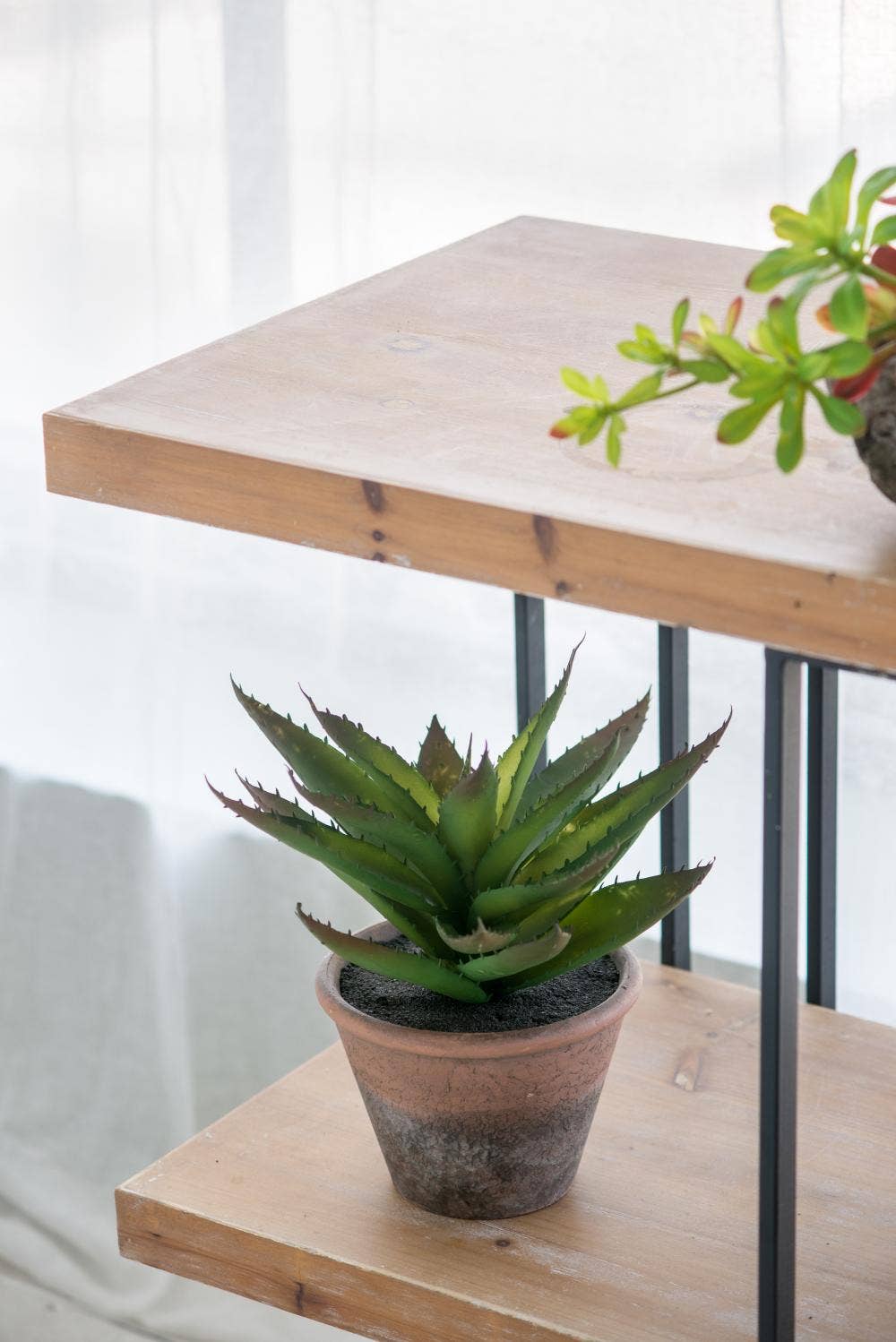 A&B Home Group Inc. – wholesale Artificial plant – Succulent6