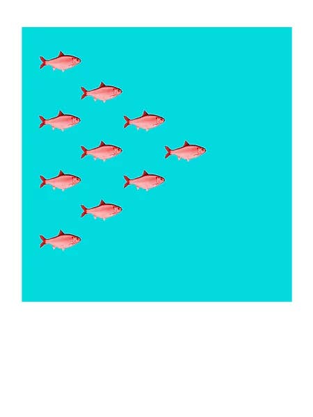 Bañador Red Herring para venta al por mayor de Siobhan Harton Studio