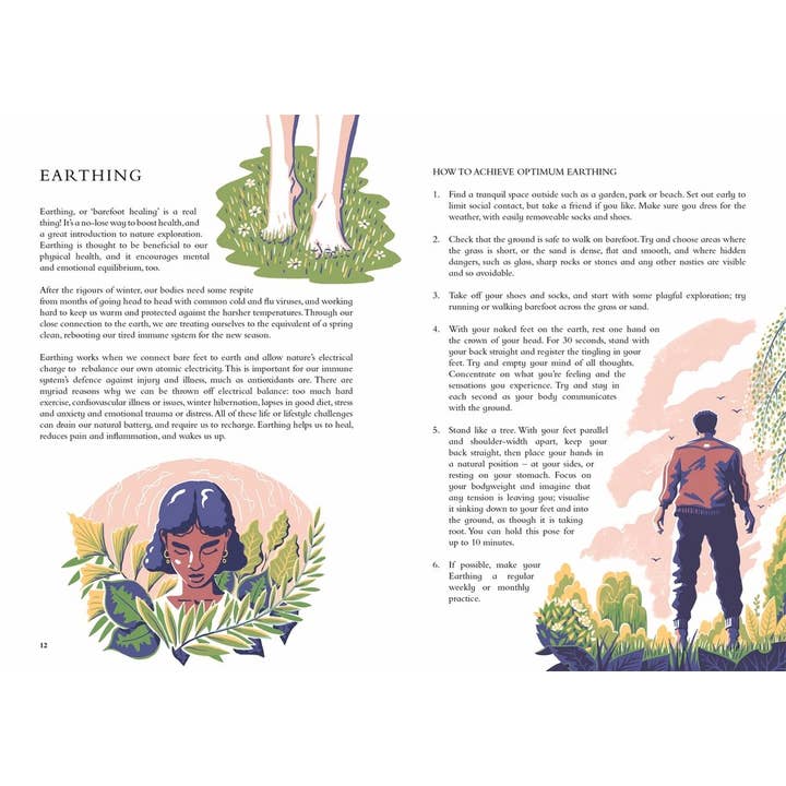 Independent Publishers Group - Wholesale Book - Adult - Wild Handbook