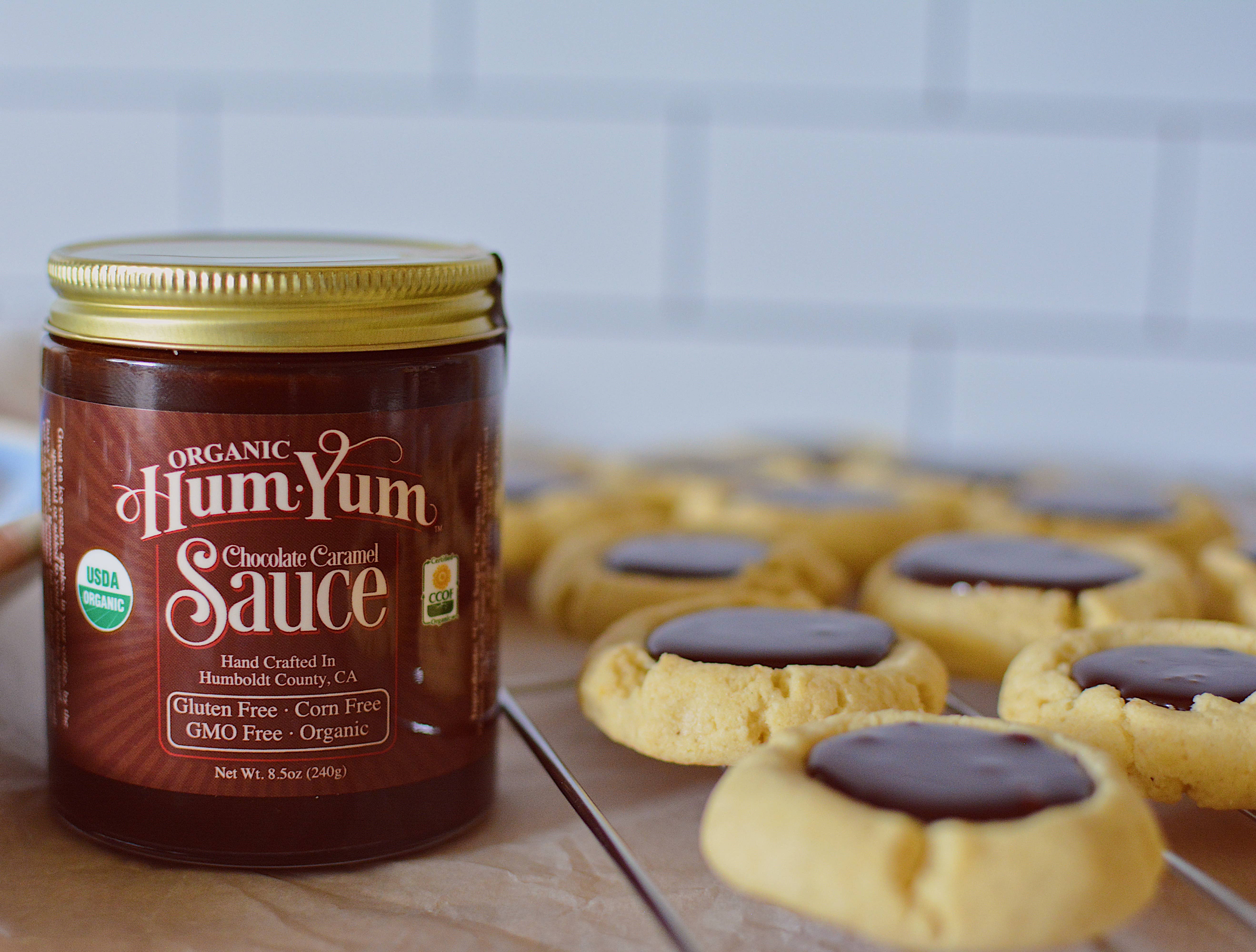 HumYum - Wholesale Hot Fudge/Chocolate Spread - Organic Chocolate Sauce1