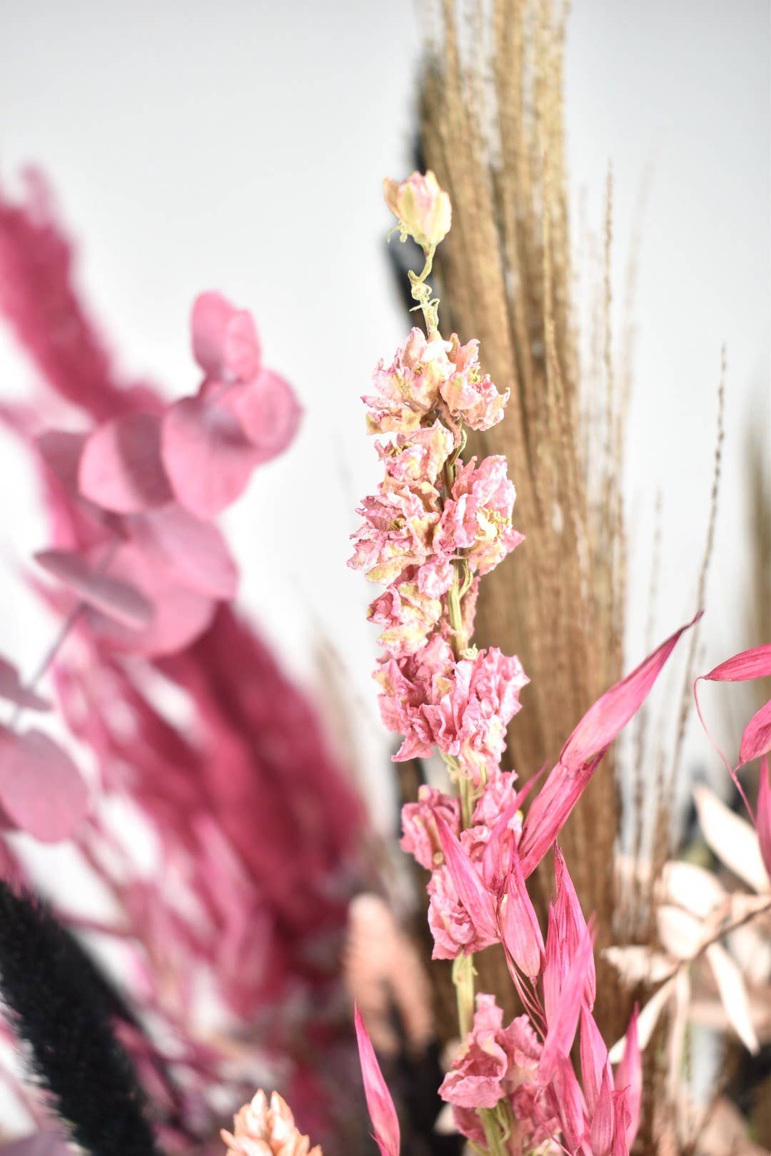 Dutch Flower Studio - Wholesale Dried/Pressed Flowers - Dried flower bouquet - Autumn vibes - 70 cm2