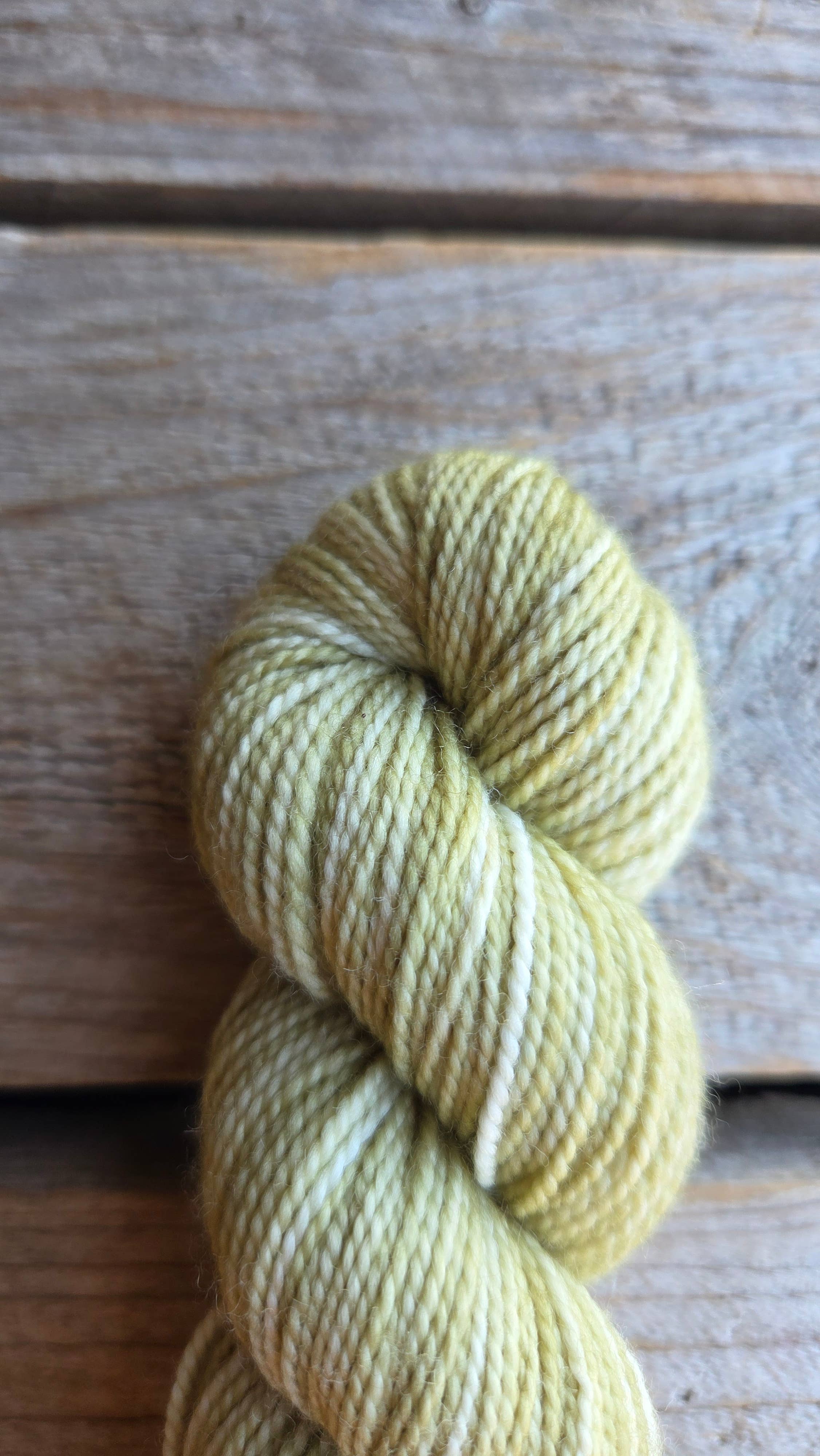 Koigu Wool Designs - Vendita all'ingrosso Lana - Palette KPM del Ringraziamento (filato merino fingering)4