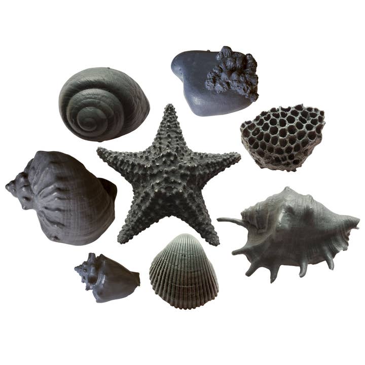 LOT DE 8 SAVONS - Café et charbon actif | Savon Seashell pour la vente par Seashell Soap