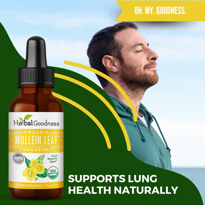 Herbal Goodness - Wholesale Oral Supplement/Vitamin - Mullein Leaf Extract- Organic- Liquid- 1oz- Herbal Goodness