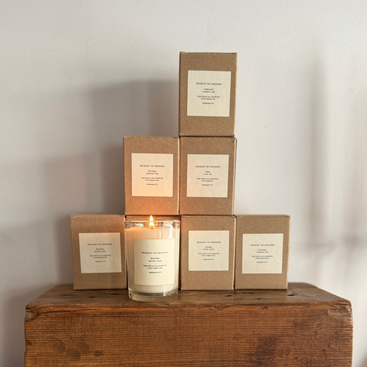 Species by the Thousands - Wholesale Jar/Filled Candle - Santal, Cardamom + Amber Handcrafted Scented Soy Candle1