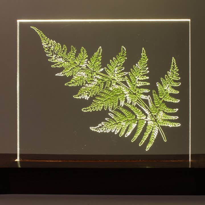 Fern in Spring (Light Impression) for wholesale by Art of lamp