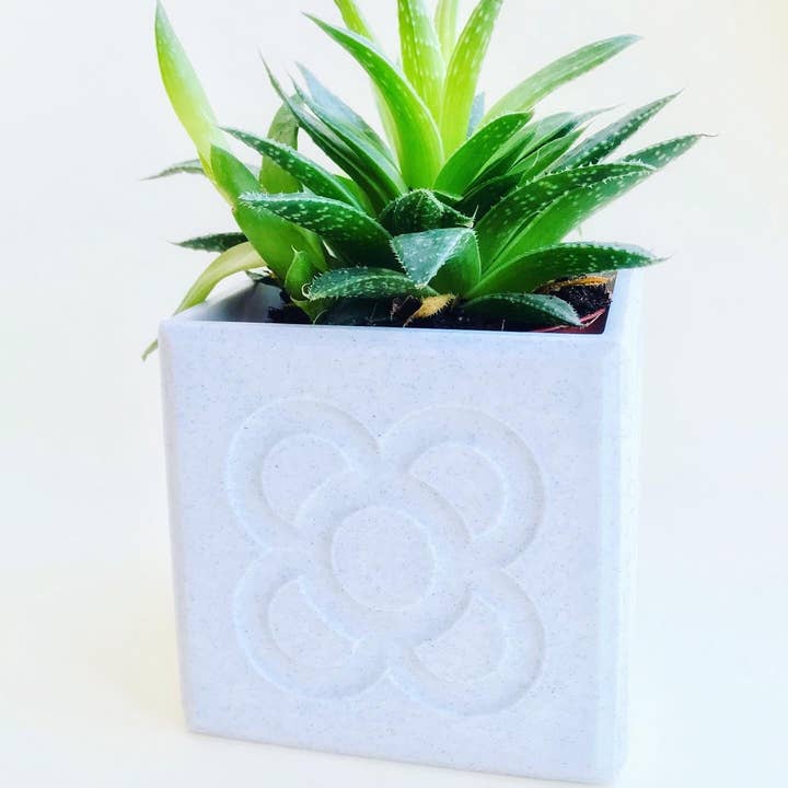 Medianoche - Wholesale Plant Pot - Panot Flower of Barcelona2
