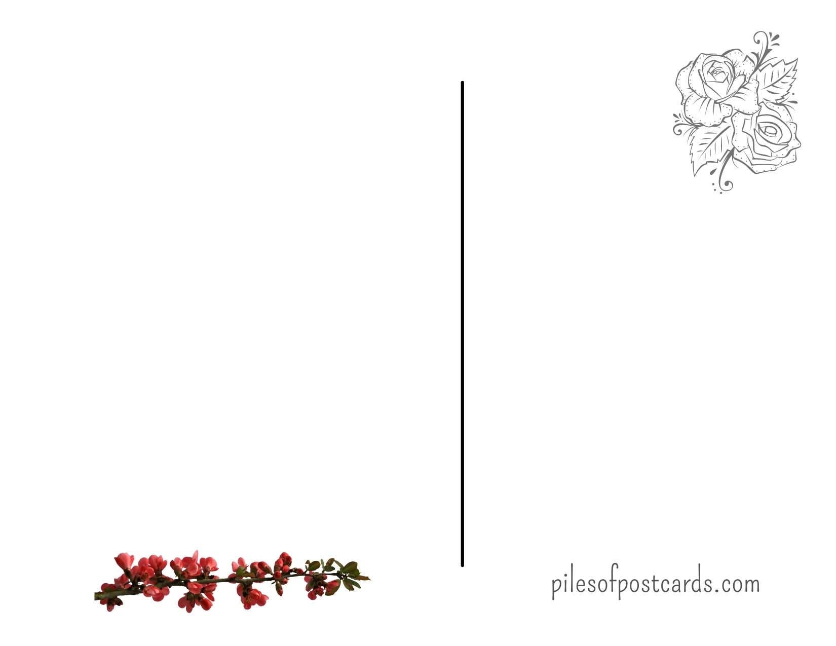 Piles of Postcards - Vendita all'ingrosso Cartoline - Cartolina da collezione a tema fiori di settembre e autunno1